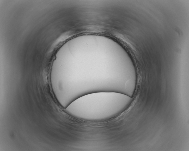 X0000114101451200910051221