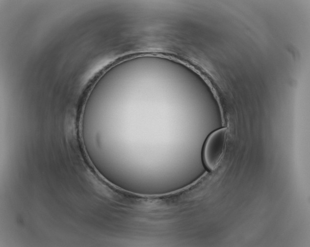 X0000114101452200910051221