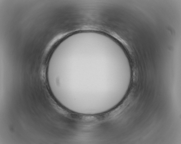 X0000114101454200910051221