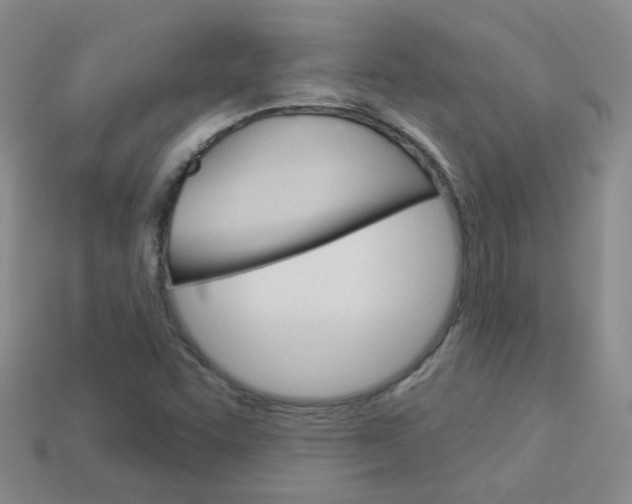 X0000114101455200910051221