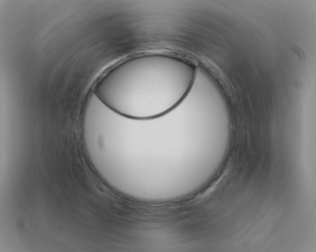 X0000114101457200910051220