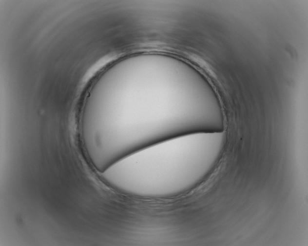 X0000114101458200910051220