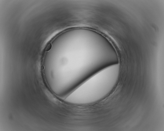 X0000114101460200910051220