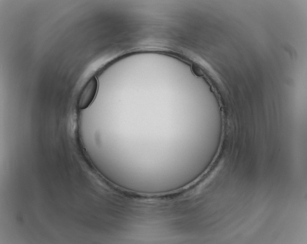 X0000114101461200910051220