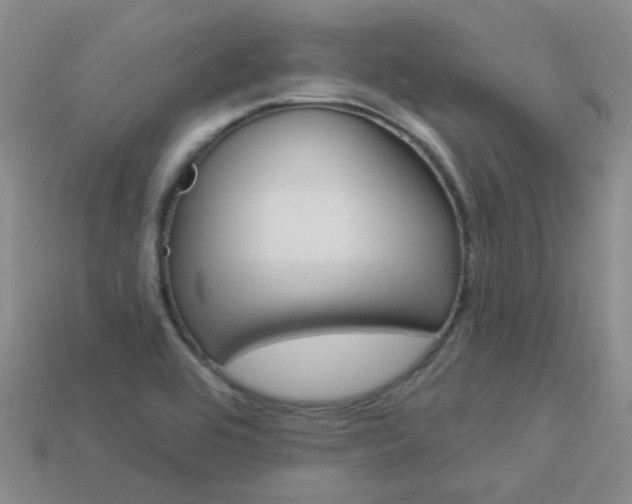 X0000114101464200910051220