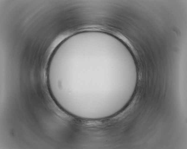 X0000114101466200910051220