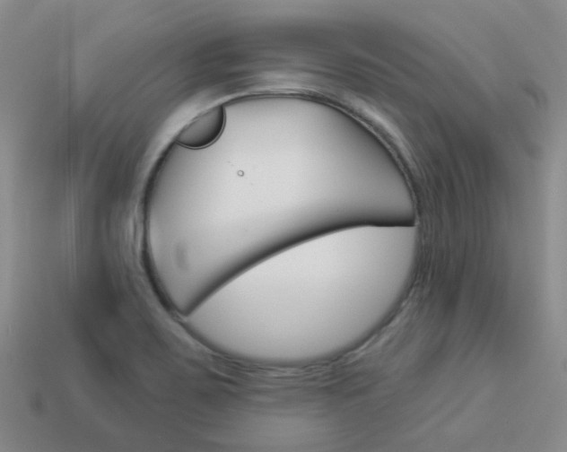 X0000114101467200910051220