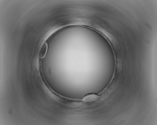 X0000114101468200910051220