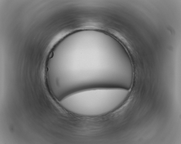 X0000114101469200910051220
