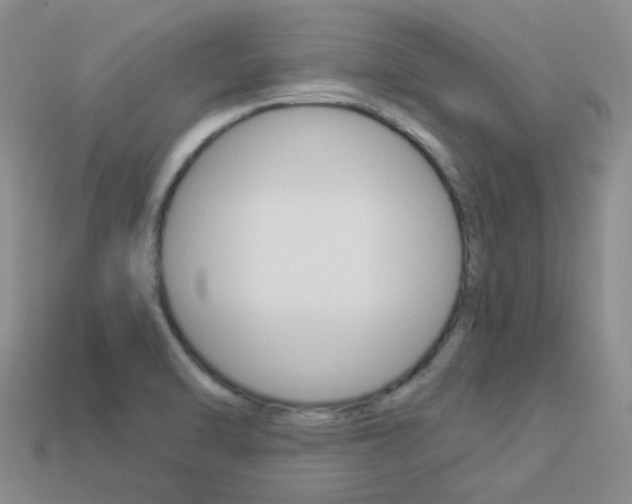 X0000114101470200910051220