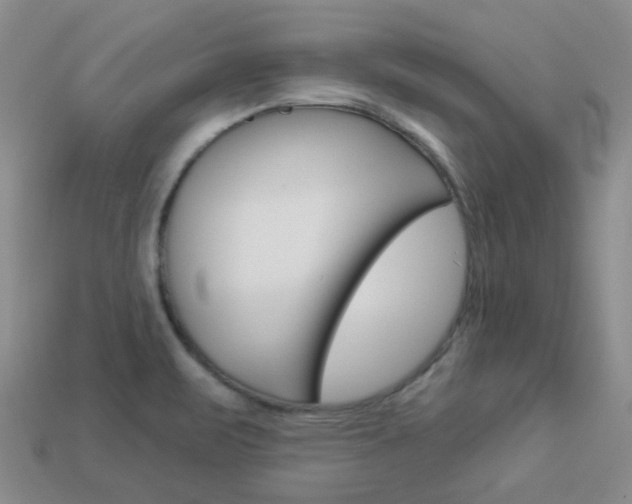 X0000114101471200910051220