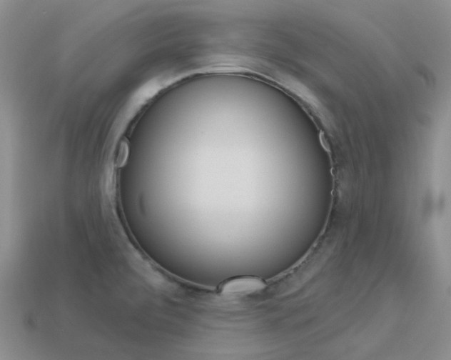 X0000114101472200910051220