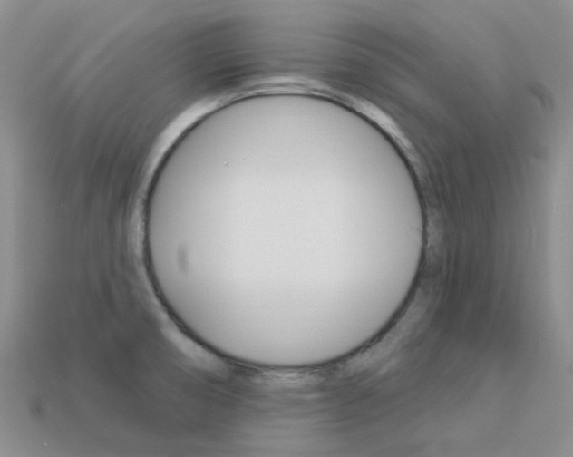 X0000114101474200910051220