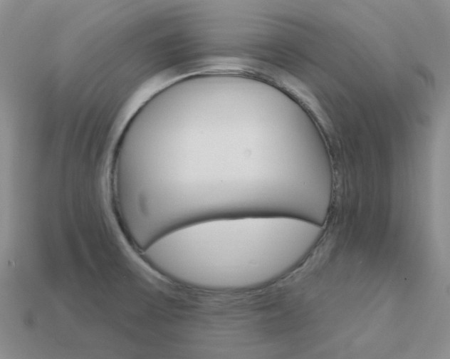 X0000114101475200910051220