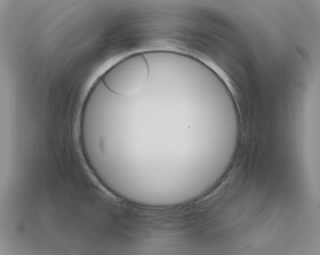 X0000114101477200910051220