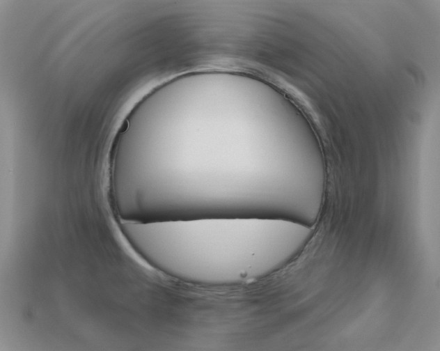 X0000114101479200910051220