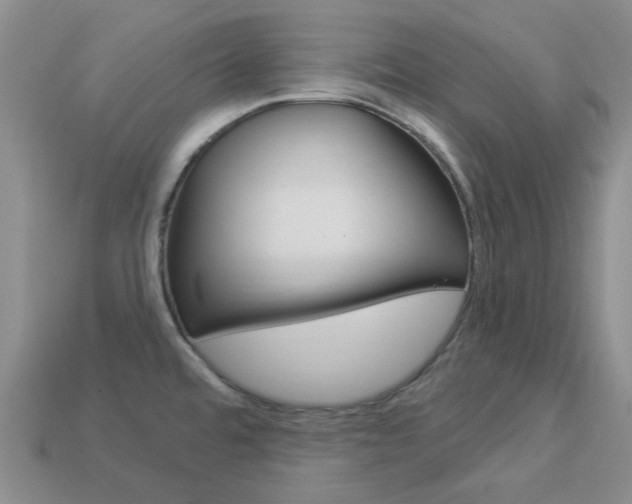 X0000114101480200910051220