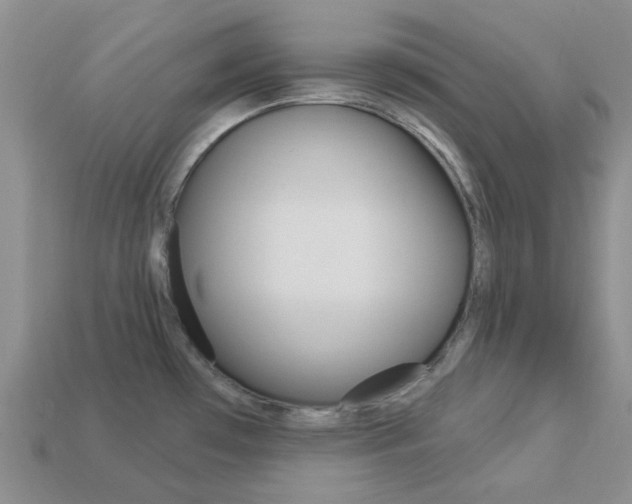 X0000114101481200910051220