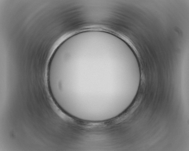 X0000114101482200910051220