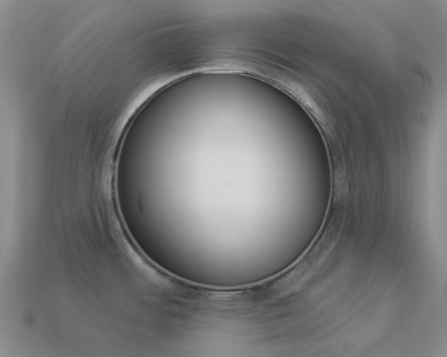 X0000114101484200910051220