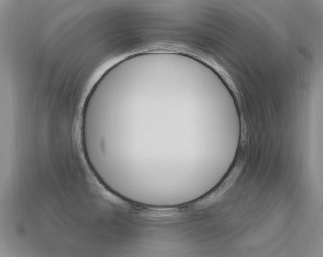 X0000114101486200910051220