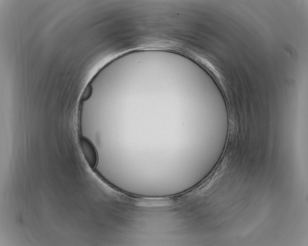 X0000114101487200910051220
