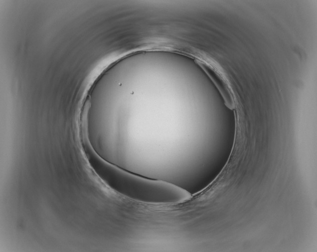 X0000114101488200910051220