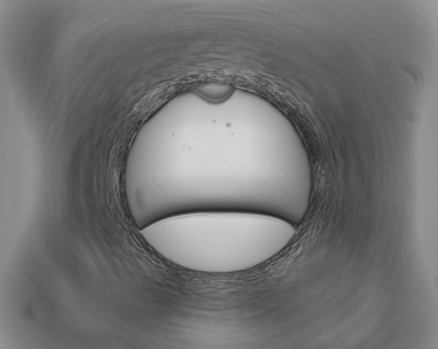 X0000114101489200910051219