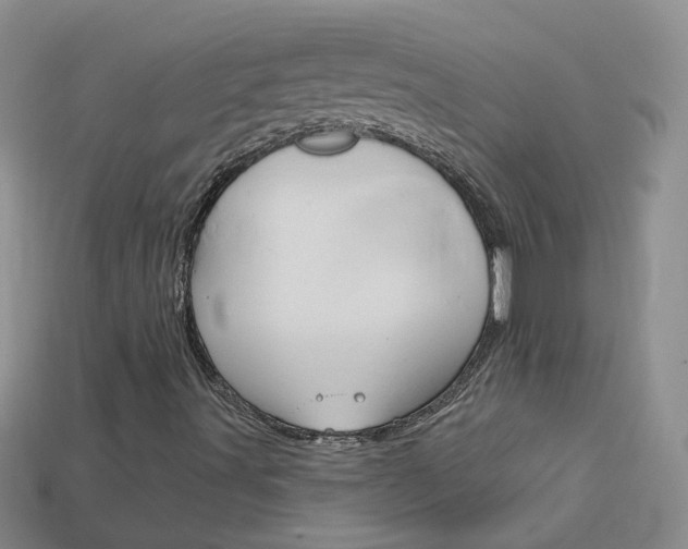 X0000114101491200910051219