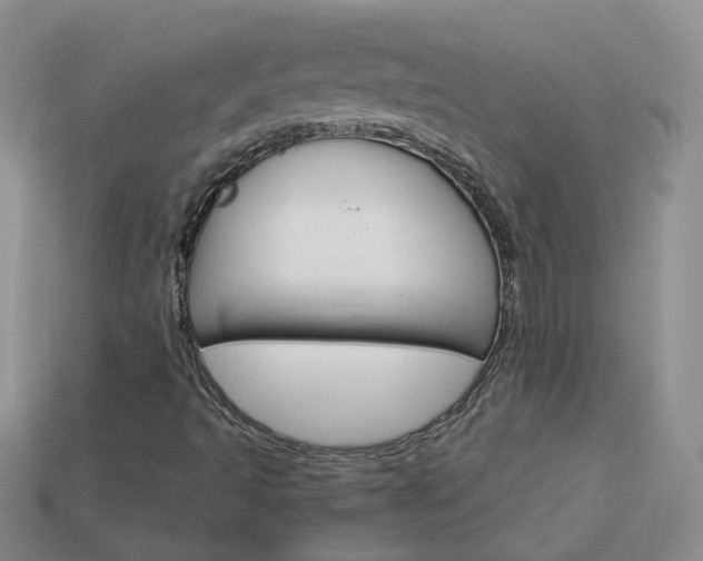 X0000114101493200910051220
