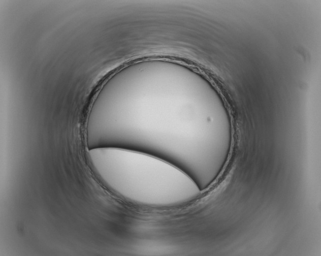 X0000114101497200910051220