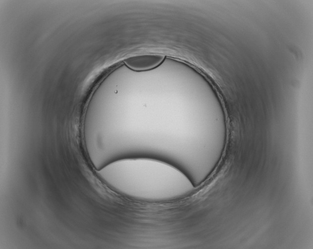 X0000114101499200910051220