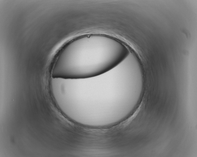 X0000114101502200910051220