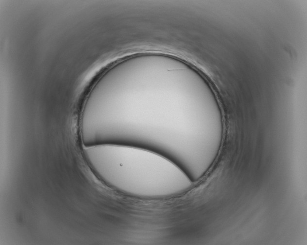 X0000114101503200910051220