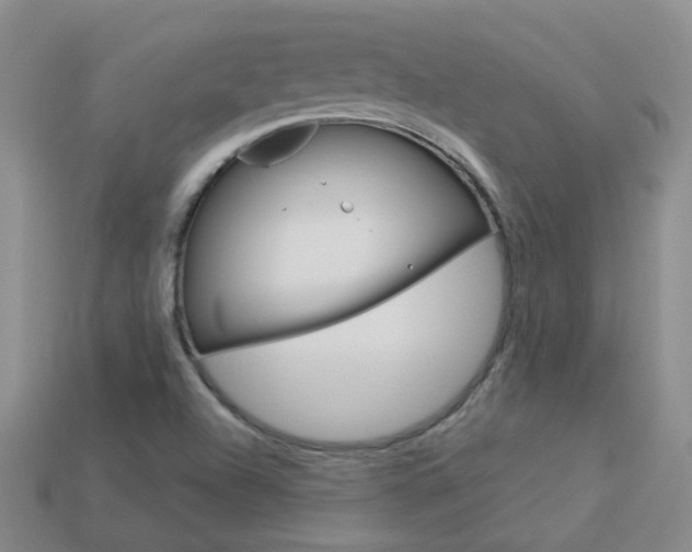 X0000114101504200910051220