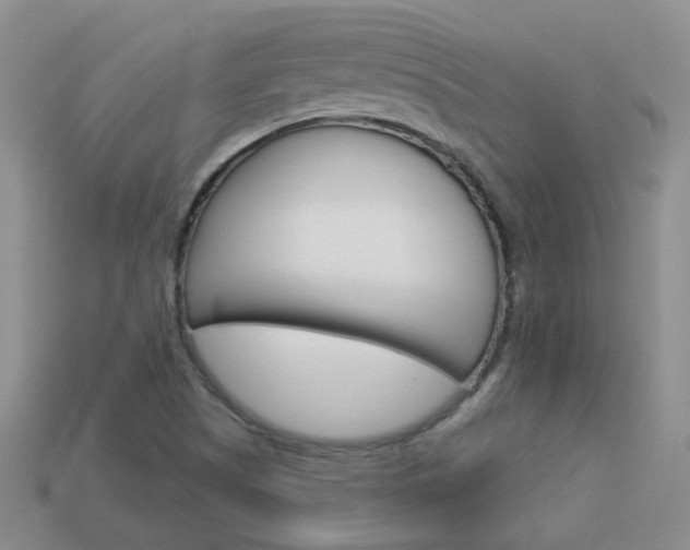 X0000114101505200910051220