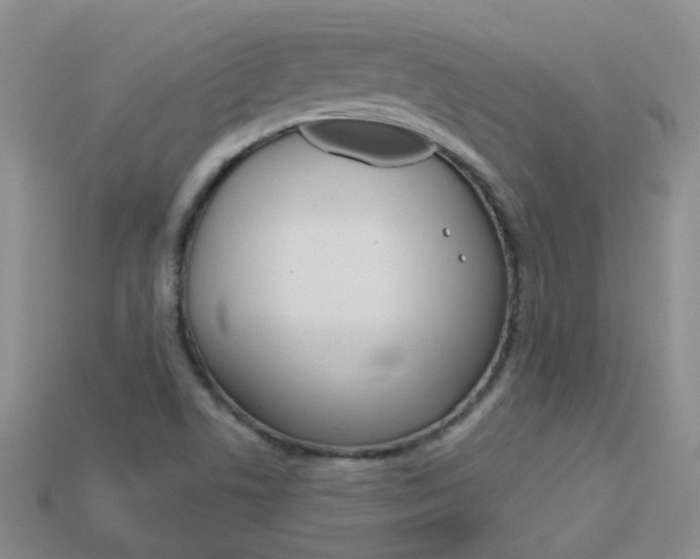 X0000114101506200910051220