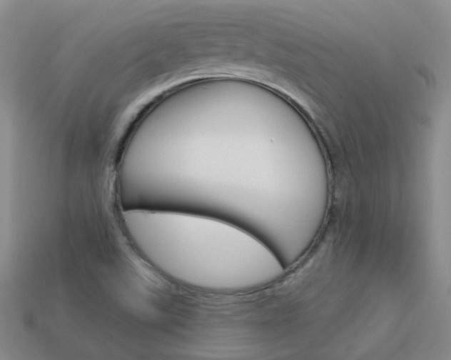 X0000114101507200910051220