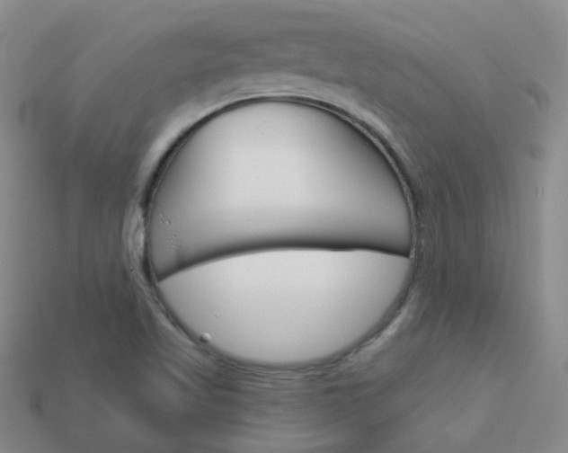 X0000114101509200910051220