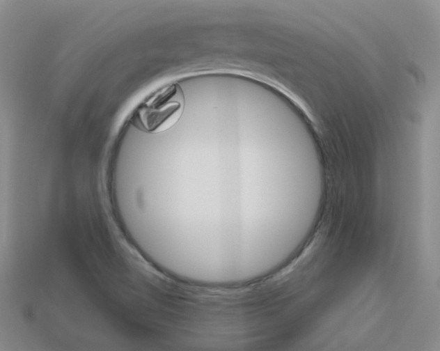 X0000114101510200910051220