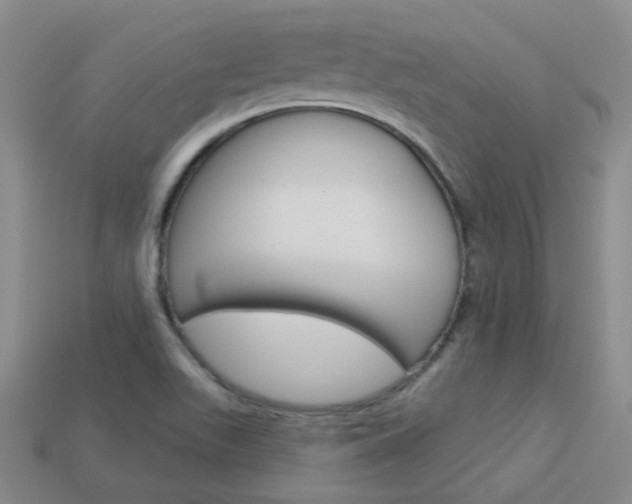 X0000114101511200910051220