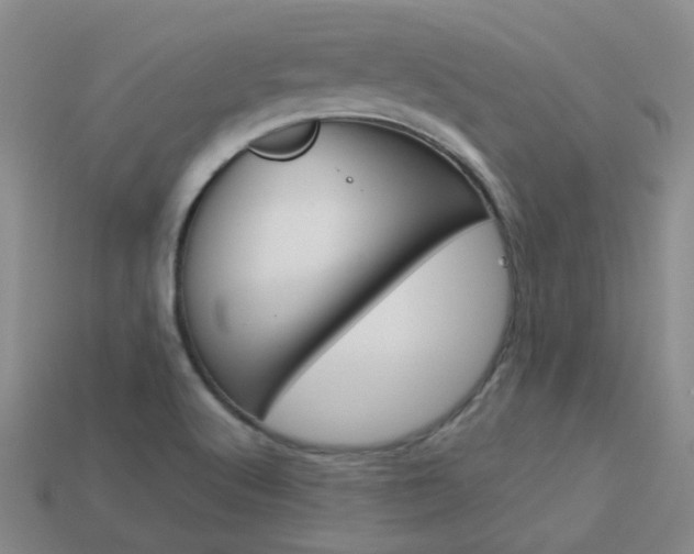 X0000114101512200910051220