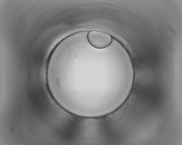 X0000114101514200910051220