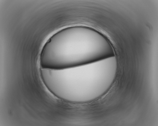 X0000114101516200910051220