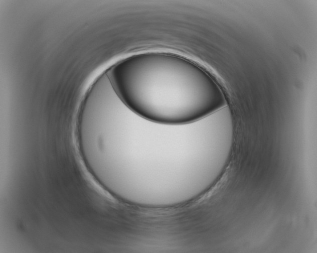 X0000114101518200910051220