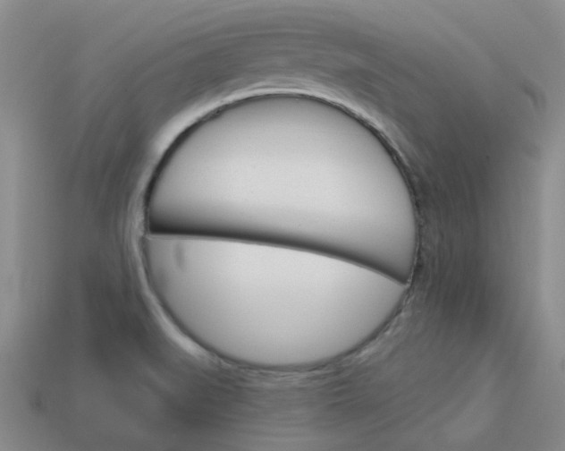 X0000114101519200910051220