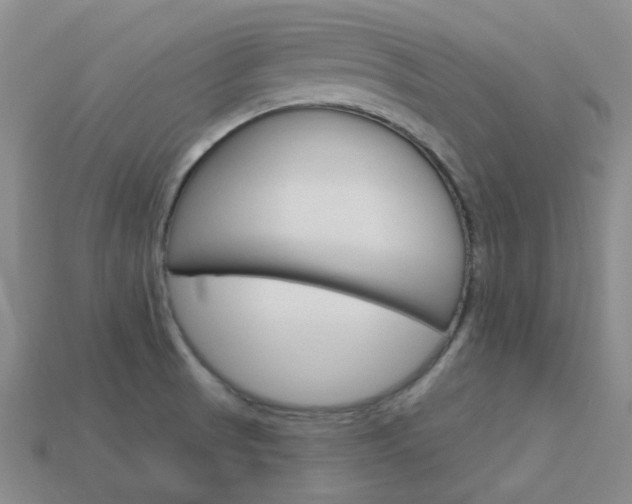 X0000114101521200910051220