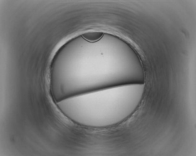 X0000114101522200910051220