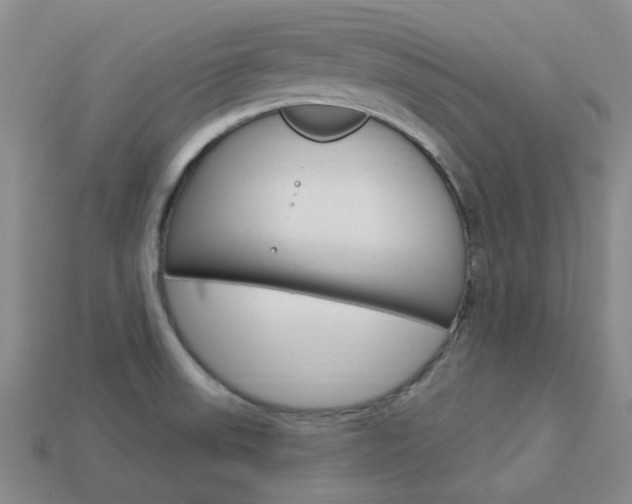 X0000114101523200910051220
