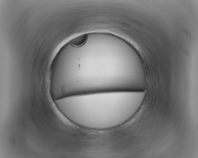 X0000114101526200910051220